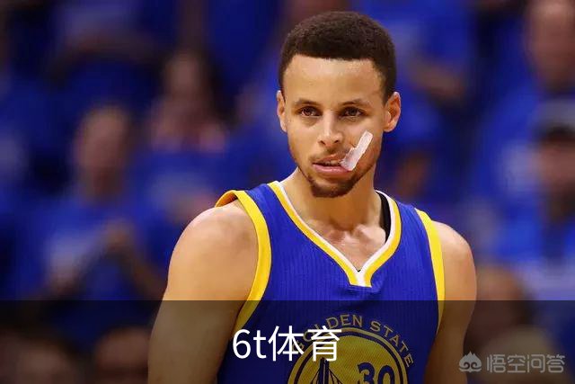 6t体育公司介绍图片